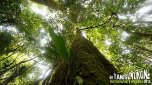 Mount Tambuyukon Expedition  